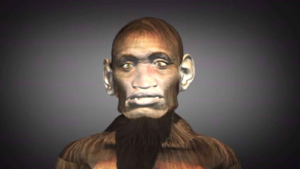 宇宙人のサル人種